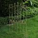 vineyard trellis